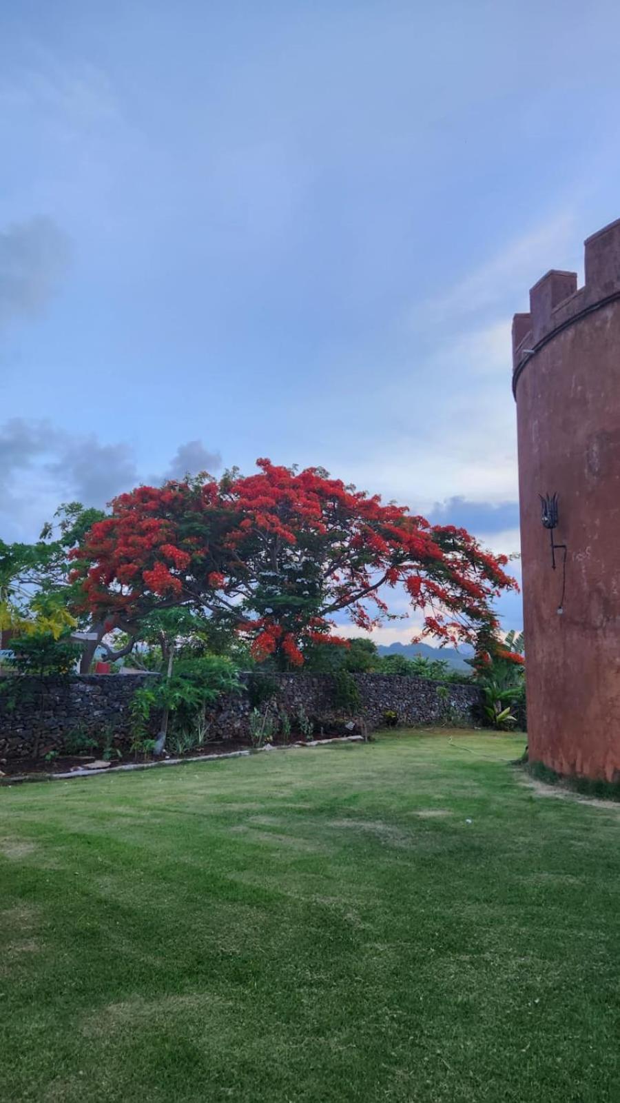 El Castillo Las Galeras Exterior photo